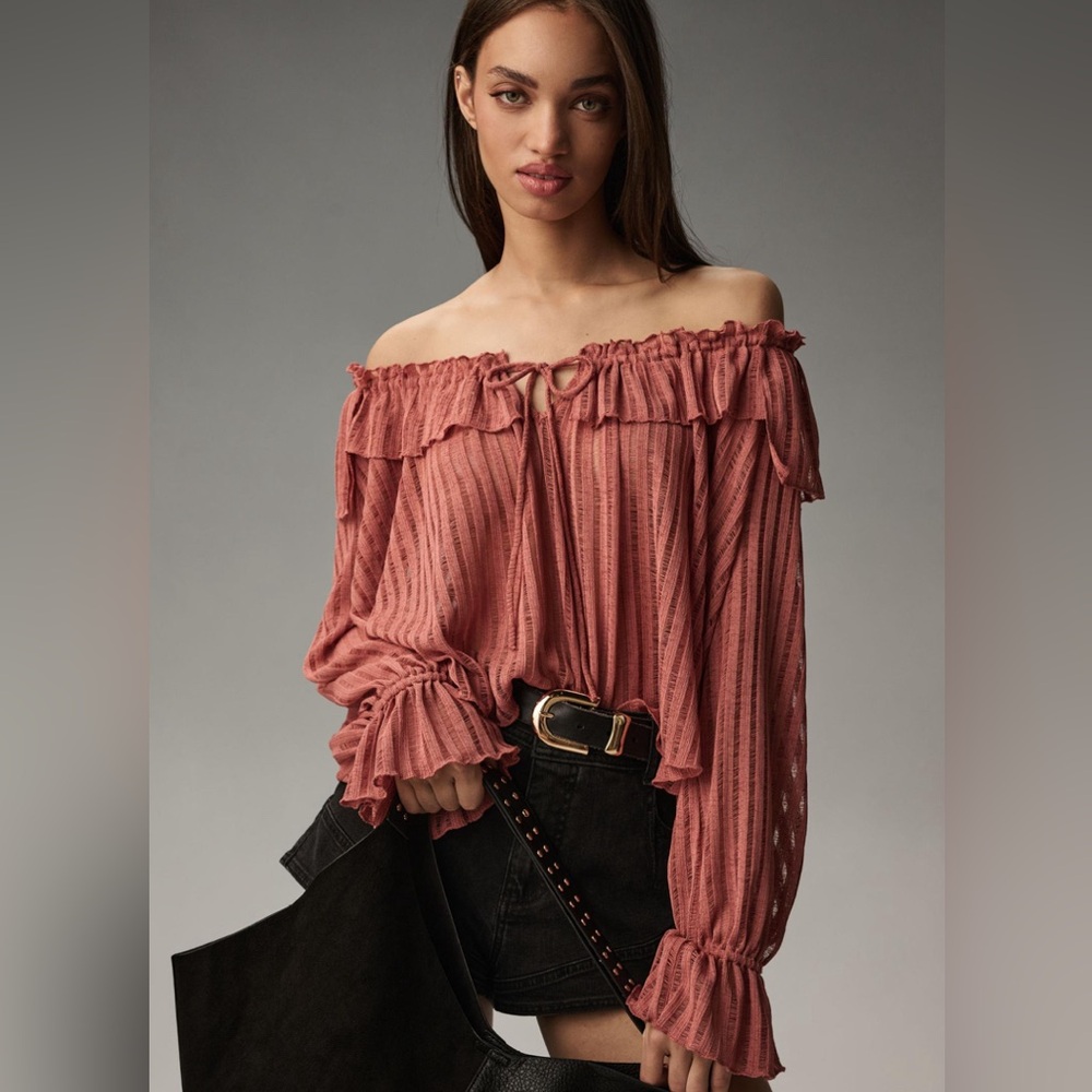 Anthropologie Long-Sleeve Sheer Stripe Blouse NWT